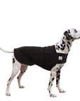 Dalmatian Tummy Warmer
