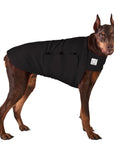 ReCoat ♻️ Like New: Doberman Pinscher Tummy Warmer