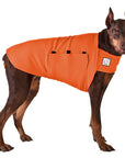 ReCoat ♻️ Like New: Doberman Pinscher Tummy Warmer