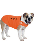 English Bulldog Tummy Warmer