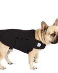 French Bulldog Tummy Warmer