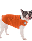 French Bulldog Tummy Warmer