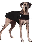ReCoat ♻️ Like New: Great Dane Tummy Warmer