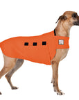 ReCoat ♻️ Like New: Great Dane Tummy Warmer