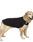 Golden Retriever Tummy Warmer