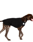 ReCoat ♻️ Like New: German Shorthaired Pointer Tummy Warmer