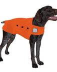 ReCoat ♻️ Like New: German Shorthaired Pointer Tummy Warmer