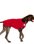 German Shorthaired Pointer Tummy Warmer - Voyagers K9 Apparel