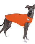 Italian Greyhound Tummy Warmer