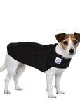 Jack Russell Terrier Tummy Warmer