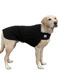 Labrador Retriever Tummy Warmer