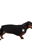 Miniature Dachshund Tummy Warmer