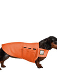 Miniature Dachshund Tummy Warmer