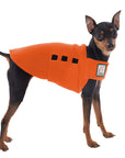 Miniature Pinscher Tummy Warmer