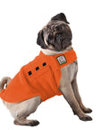 Pug Tummy Warmer