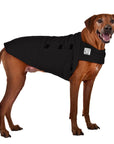 ReCoat ♻️ Very Good: Rhodesian Ridgeback Tummy Warmer