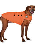 ReCoat ♻️ Very Good: Rhodesian Ridgeback Tummy Warmer