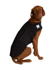 Vizsla Tummy Warmer