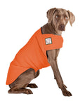 Weimaraner Tummy Warmer