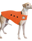 Whippet Tummy Warmer