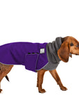 Beagle Winter Coat