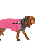 ReCoat ♻️ Beagle Winter Coat with Harness Opening