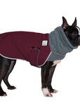 Boston Terrier Winter Coat - Voyagers K9 Apparel