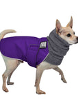 ReCoat ♻️ Like New: Chihuahua Winter Coat