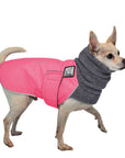 Chihuahua Winter Coat