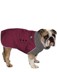 English Bulldog Winter Coat (Burgundy) - Voyagers K9 Apparel
