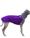 Great Dane Winter Coat