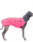 Great Dane Winter Coat