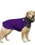 Golden Retriever Winter Coat