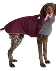 German Shorthaired Pointer Winter Coat (Burgundy) - Voyagers K9 Apparel