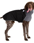 German Shorthaired Pointer Winter Coat (Black) - Voyagers K9 Apparel