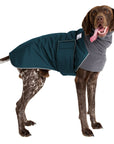 German Shorthaired Pointer Winter Coat (Dark Teal) - Voyagers K9 Apparel