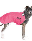 Italian Greyhound Winter Coat