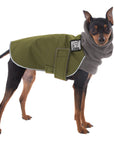 Miniature Pinscher Winter Coat (Olive) - Voyagers K9 Apparel