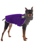ReCoat ♻️ Like New: Miniature Pinscher Winter Coat