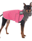 ReCoat ♻️ Like New: Miniature Pinscher Winter Coat