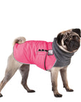 Pug Winter Coat