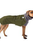 Rhodesian Ridgeback Winter Coat (Olive) - Voyagers K9 Apparel