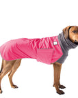 ReCoat ♻️ Very Good: Rhodesian Ridgeback Winter Coat