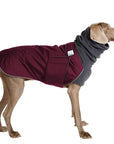 Weimaraner Winter Coat (Burgundy) - Voyagers K9 Apparel