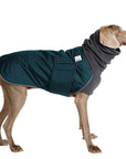 ReCoat ♻️ Like New: Weimaraner Winter Coat