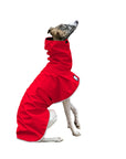 Whippet Raincoat
