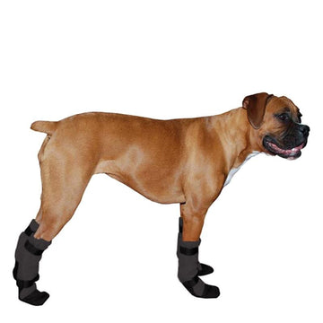 Boxer Dog Booties - Voyagers K9 Apparel