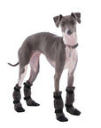 Italian Greyhound Dog Booties - Voyagers K9 Apparel