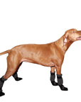 Vizsla Dog Booties - Voyagers K9 Apparel