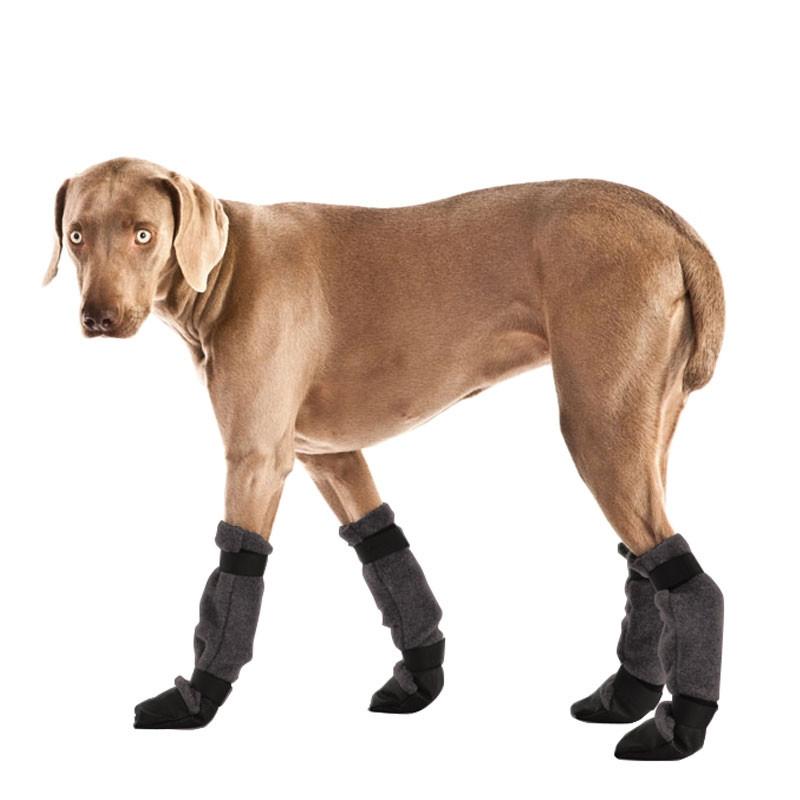 Weimaraner Protective Winter Dog Booties – Voyagers K9 Apparel